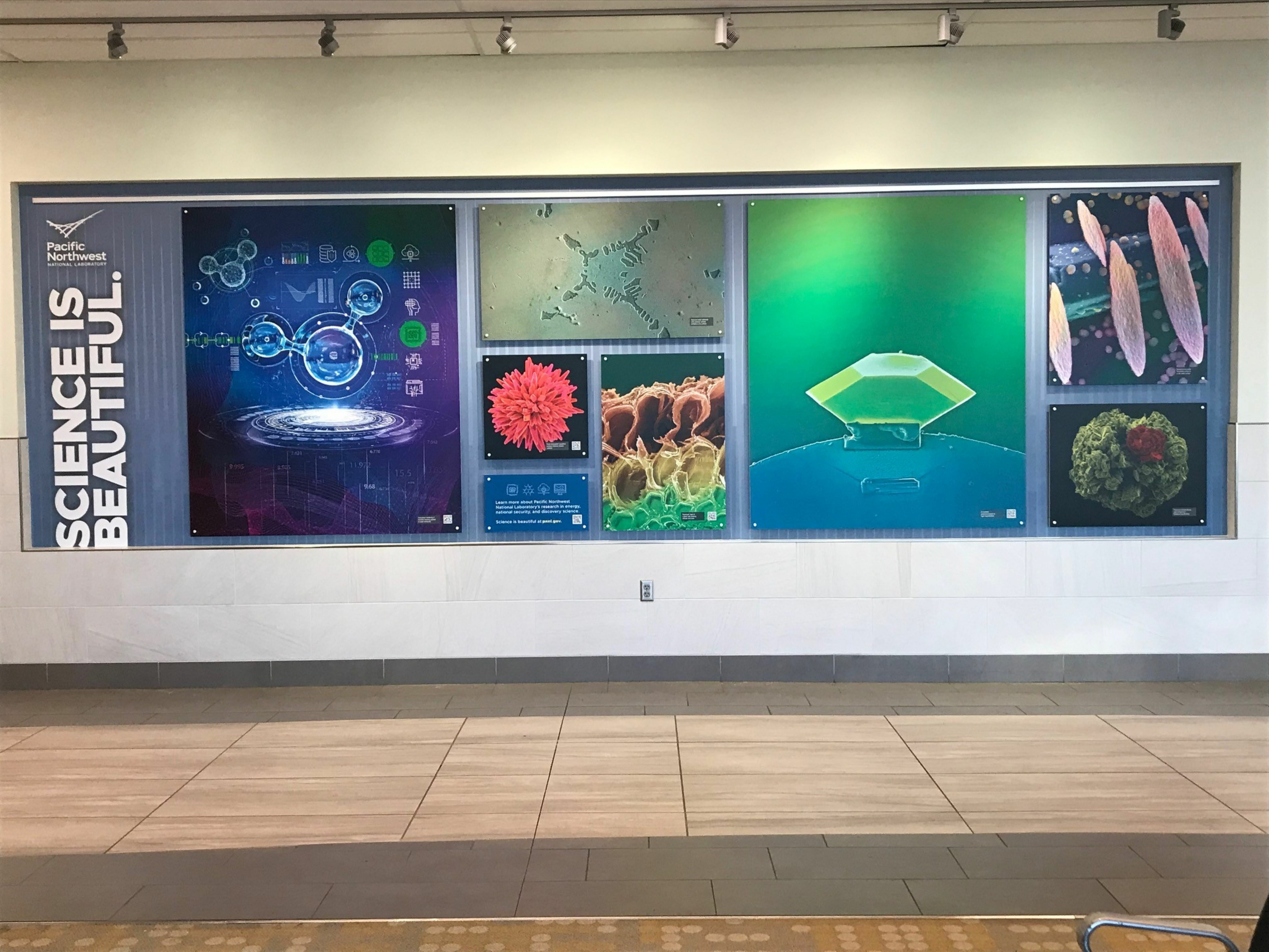 Science is Beautiful - Pacific Northwest National Laboratory