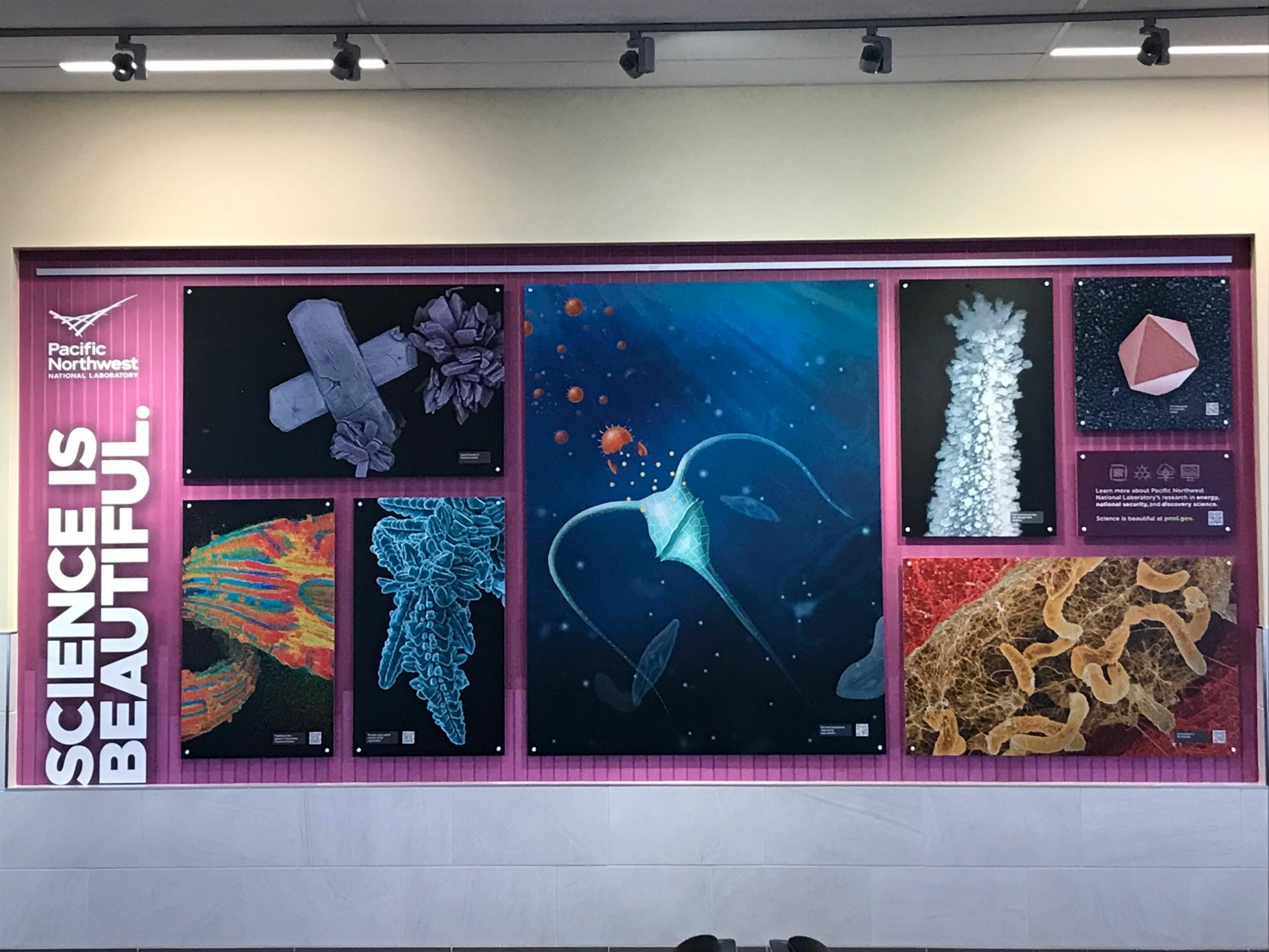 Science is Beautiful - Pacific Northwest National Laboratory